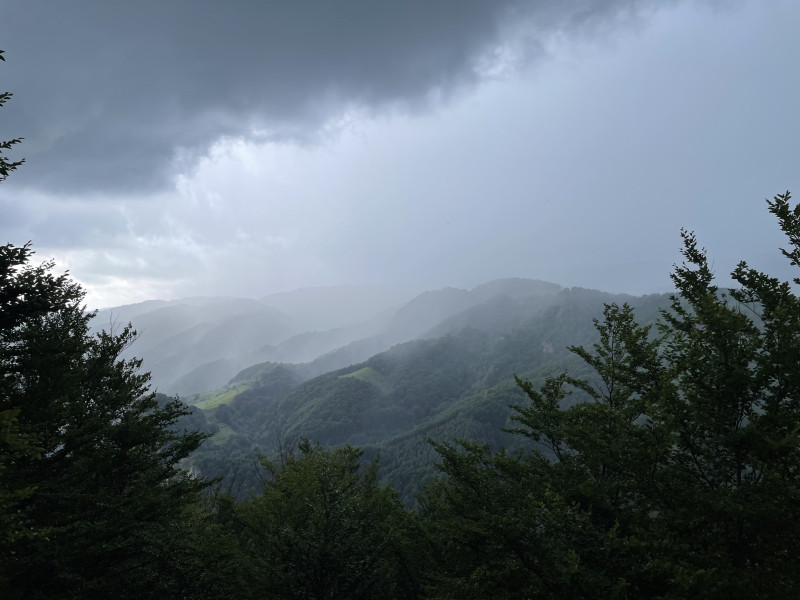 Darius Oprea